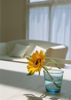 安全な家づくりで安心感が得られる住宅