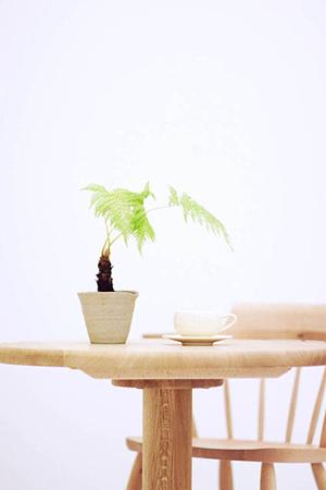 太陽光は取り入れながらプライバシー保護