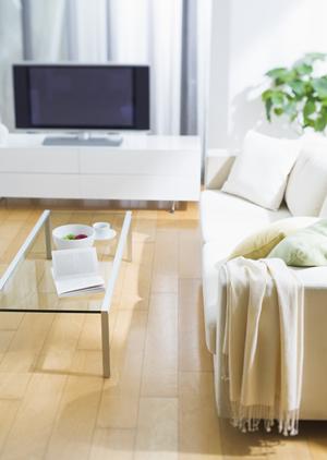 高性能除雪機を販売している会社