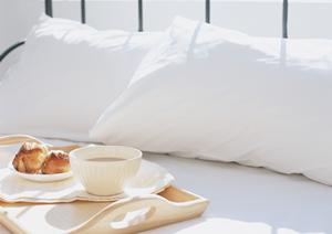 エクステリアを最高のものとするなら