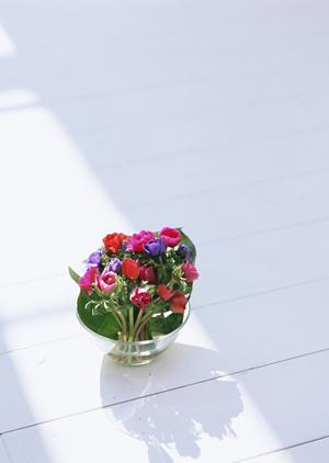 一戸建てをお探しの人におすすめ