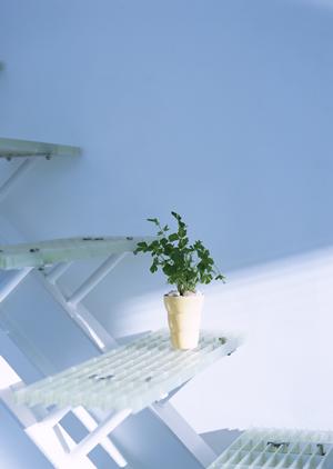 多摩市で叶える快適省エネ住宅：高気密高断熱住宅のメリットと施工事例